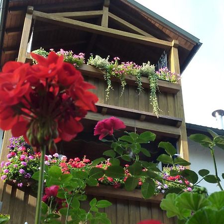 Ferienwohnung Hofer 阿尔多廷 外观 照片